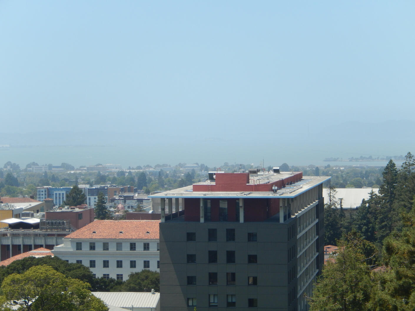 Berkely, California, 2024.